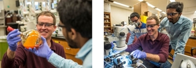 Dr Plunkett Research Lab